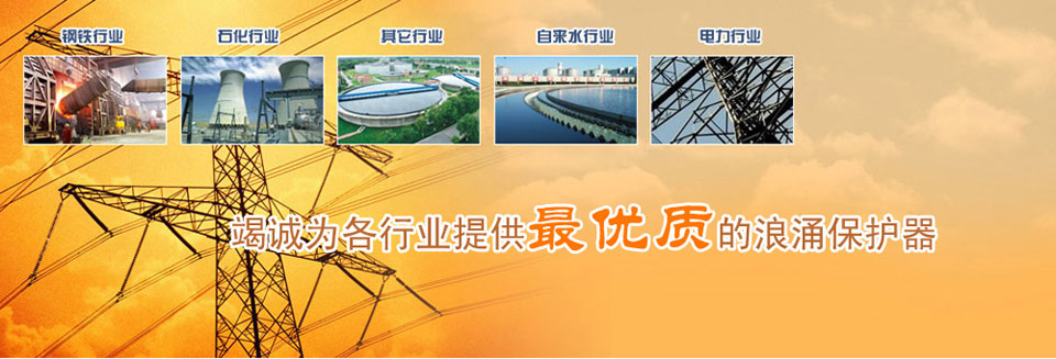 14年大型防雷工程專業配套經驗